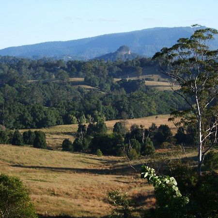 Grey Gum Lodge Nimbin Exteriör bild