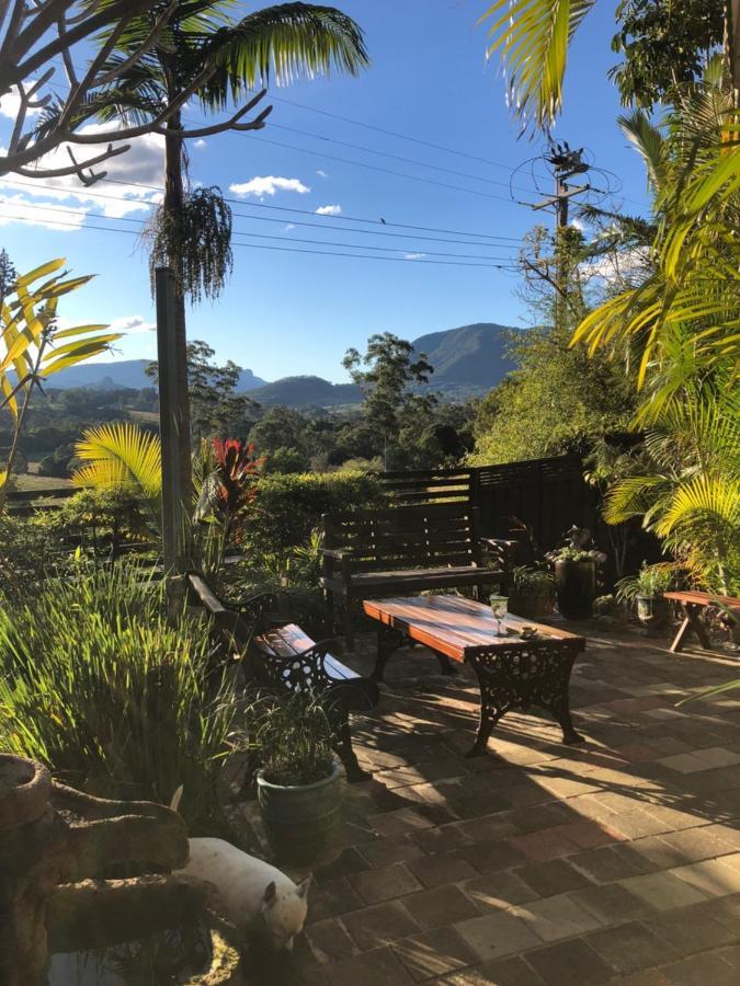 Grey Gum Lodge Nimbin Exteriör bild