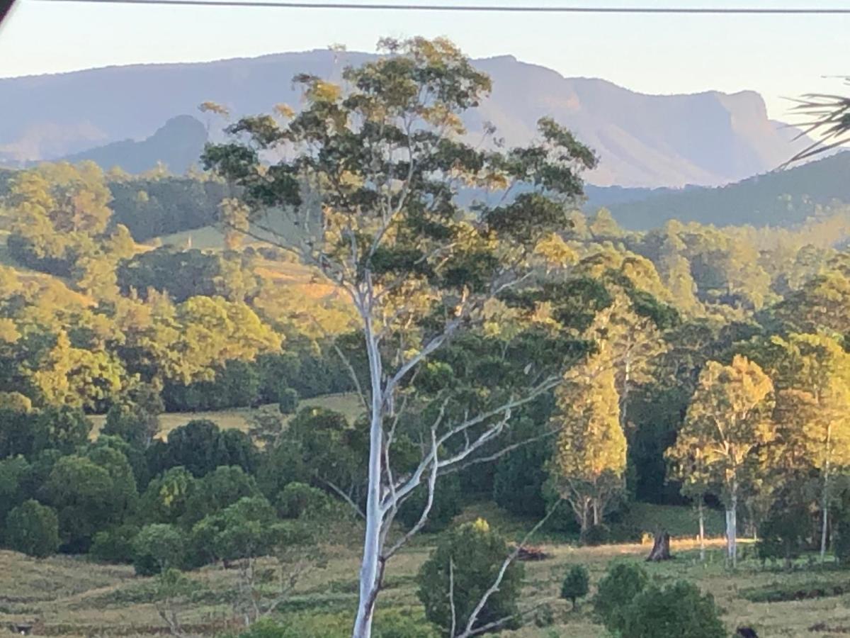 Grey Gum Lodge Nimbin Exteriör bild