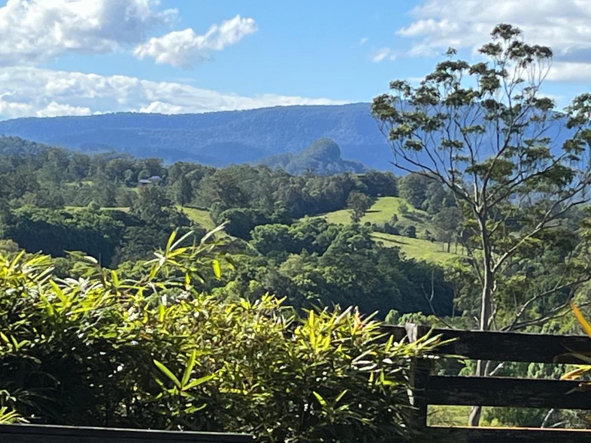 Grey Gum Lodge Nimbin Exteriör bild