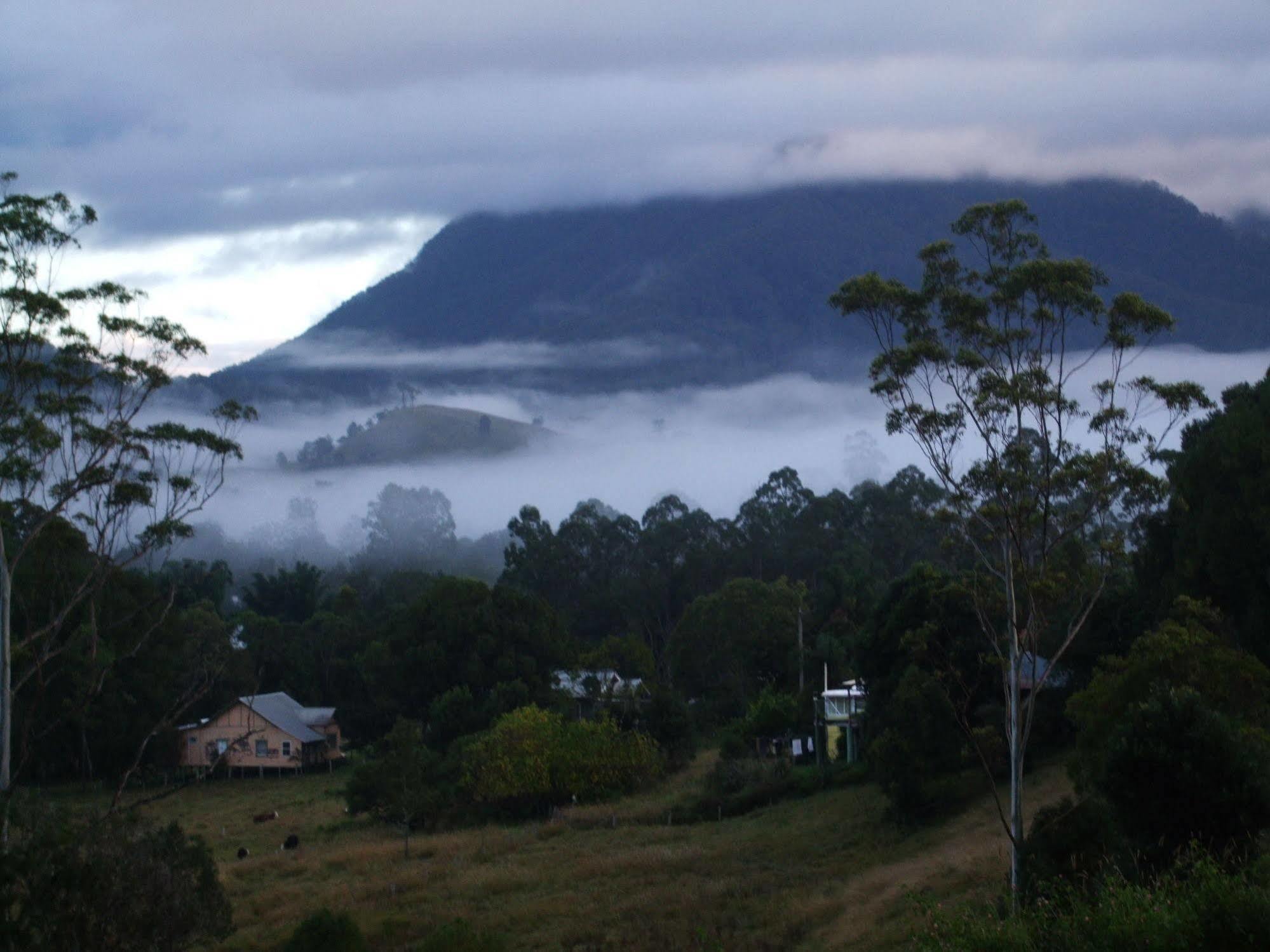 Grey Gum Lodge Nimbin Exteriör bild